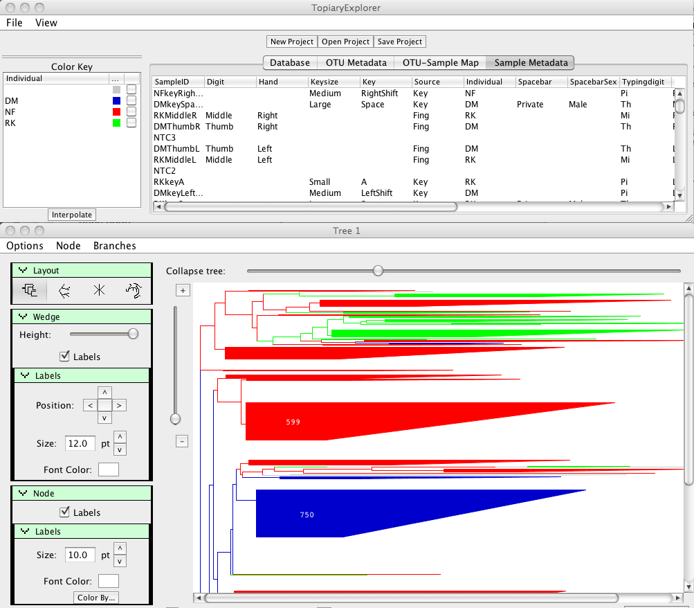 Screenshot of Topiary Explorer